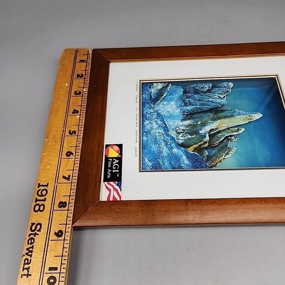 AGI Fine Arts Framed Oil Picture 3D shadow box Cerro Torre Glacier National Park - Picture 8 of 8